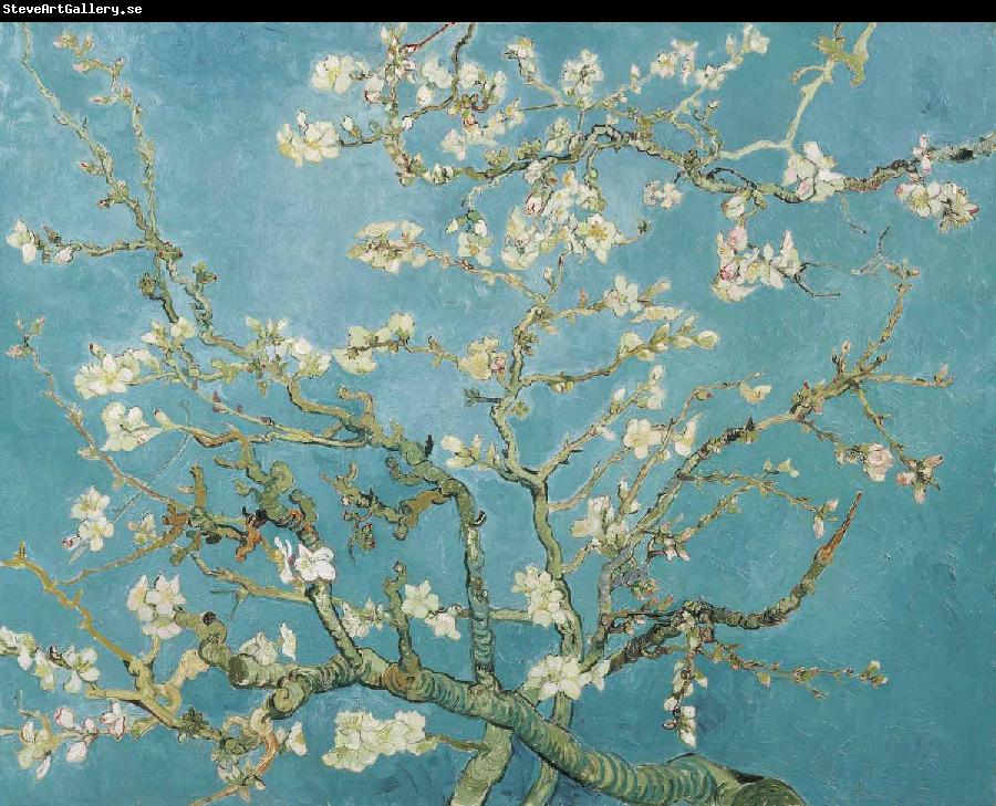 Vincent Van Gogh Almond Blossoms